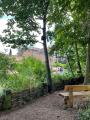 Camley Street Natural Park, June 2022. Photograph Sally Williams