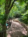 Camley Street Natural Park, June 2022. Photograph Sally Williams