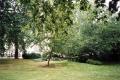 Fitzroy Square Gardens, July 2002. Photo: S Williams