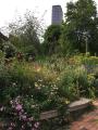 The Phoenix Garden, June 2019. Photograph Sally Williams