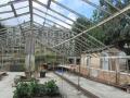 Rochester Square, greenhouses,  June 2017. Photograph Sally Williams