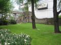 Barber-Surgeons' Gardens with Roman Wall, May 2010. Photo: S Williams