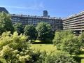 Barbican Estate, Thomas More Residents Garden, June 2023. Photo: N.Petridis