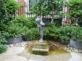 Drapers' Hall Garden, June 2026, Colin Wing