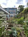 The Golden Baggers, Golden Lane Estate, June 2024. Photograph Sally Williams