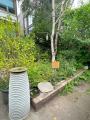 The Golden Baggers, Biodiversity Garden, Golden Lane Estate, June 2024. Photograph Sally Williams
