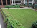 St Dunstan-in-the-West Burial Ground, June 2010. Photo: S Williams
