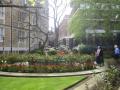 Staple Inn Garden, May 2008. Photo: S Williams