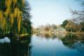 Broomfield Park: one of the formal ponds, April 2000. Photograph Sally Williams