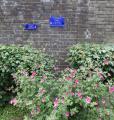 Old Blue Cross Pet Cemetery, Memorial Wall, June 2015. Photograph courtesy of Friends of the Pet Cemetery
