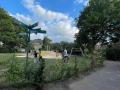 Butterfield Green, new play area with sandpit, July 2023. Photograph Sally Williams