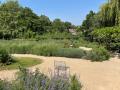 OmVed Gardens: Winding Path, June 2023. Photograph Sally Williams