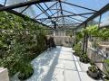 OmVed Gardens, Glasshouse, June 2023. Photograph Sally Williams