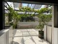 OmVed Gardens, Glasshouse, June 2023. Photograph Sally Williams