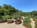 OmVed Gardens, Vegetable Garden, June 2023. Photograph Sally Williams