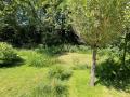 OmVed Gardens, Pond, June 2023. Photograph Sally Williams