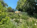 OmVed Gardens, Pond with Pavilion behind, June 2023. Photograph Sally Williams