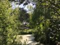 Bridge House Pond, July 2017. Photo courtesy Friends of Bridge House Pond