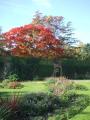 Canons Park, Memorial Garden, autumn 2007. Photo Sharon Graham