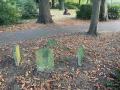 Dog cemetery, Pinner Memorial Park, September 2024. Photograph Sally Williams