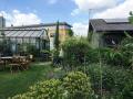 Walworth Garden, June 2017. Photograph Sally Williams