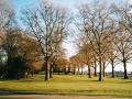 Island Gardens, December 2001. Photo: S Williams
