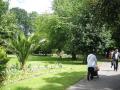 Museum Gardens, June 2009. Photo: S Williams