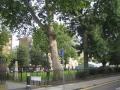 St Bartholomew's Path with Tanner Lucas Obelisk just inside the gardens, September 2008. Photo: S Williams