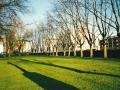 St James's Gardens with Limehouse Link to the right, March 2000. Photo: S Williams