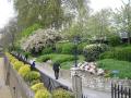 Tower Gardens pedestrian walkway, April 2010. Photo: S Williams