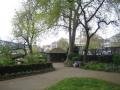 Tower Gardens, April 2010. Photo: S Williams