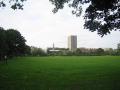 Weavers Fields, September 2008. Photo: S Williams
