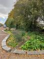Essex Road Pocket Park, November 2021. Photograph Sally Williams