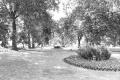 Park Lane - Photo: Pamela Paterson (1995)