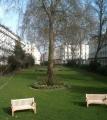 Prince's Square garden, March 2012. Photo courtesy Prince's Square Gardens Coommittee