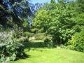 Regent's University London, gardens, June 2006. Photograph Sally Williams
