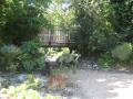 Regent's University London, rockery garden, June 2006. Photograph Sally Williams