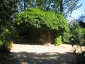 Regent's University London, old police 'lock-up' near rockery garden, June 2006. Photograph Sally Williams