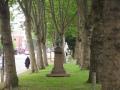Mile End Road Verges