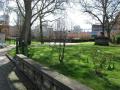 St Anne's Churchyard, Limehouse