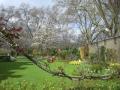 No.10 Downing Street Garden