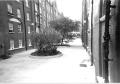 Grosvenor Estate Garden