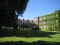 Regent's University London Garden *