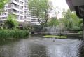 The Water Gardens *