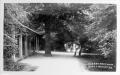 Cherry Tree Wood, East Finchley, undated postcard. Courtesy of Barnet Local Studies & Archives Cherry Tree Wood, East Finchley, undated postcard. Courtesy of Barnet Local Studies & Archives