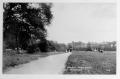 Cherry Tree Wood, East Finchley, undated postcard. Courtesy of Barnet Local Studies & Archives Cherry Tree Wood, East Finchley, undated postcard. Courtesy of Barnet Local Studies & Archives
