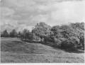 Monken Hadley Common, 1951. Courtesy of Barnet Local Studies & Archives Monken Hadley Common, 1951. Courtesy of Barnet Local Studies & Archives
