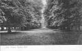 Lime Avenue, Bushy Park, 1906. Courtesy/copyright of London Borough of Richmond upon Thames Local Studies Collection. Lime Avenue, Bushy Park, 1906. Courtesy/copyright of London Borough of Richmond upon Thames Local Studies Collection.