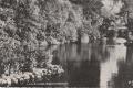 The moat, Lloyd Park, postcard (undated). Private collection. The moat, Lloyd Park, postcard (undated). Private collection.