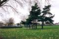 St Chad's Park, November 1999. Photo: S Williams St Chad's Park, November 1999. Photo: S Williams